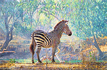 Zebra Painting_Respite